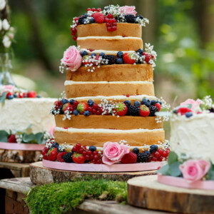 Brasserie Zonnestraal bruidstaart trouwen op zonnestraal